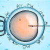 胚胎移植后的注意事项有哪些 胚胎移植后的三个注意事项盘点